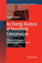 Shonali Pachauri - An Energy Analysis of Household Consumption