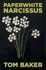 Tom Baker - Paperwhite Narcissus