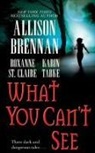 Allison Brennan, Allison/ Tabke Brennan, Roxanne St Claire, Roxanne St. Claire, Karin Tabke - What You Can't See