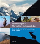 Lorenz Heer - Wanderungen zu Murmeltier, Steinbock & Co.