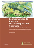 Jürgen Schuler - Baumbewohnende Ameisen mitteleuropäischer Auenwälder