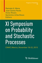 Jua Carlos Pardo, Juan Carlos Pardo, Ramses Mena, Ramsés Mena, Ramsés H. Mena, Juan Carlos Pardo... - XI Symposium on Probability and Stochastic Processes