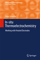 Peter Gründler - In-situ Thermoelectrochemistry