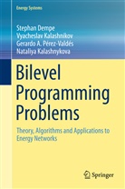 Stepha Dempe, Stephan Dempe, Vyachesla Kalashnikov, Vyacheslav Kalashnikov, Nataliya Kalashnikova, Nataliya Kalashnykova... - Bilevel Programming Problems