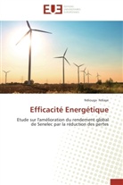 Ndiouga Ndiaye, Ndiaye-n - Efficacite energetique