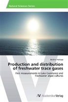 Bettina Hodapp - Production and distribution of freshwater trace gases