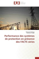 Abdelaziz Chaghi, Mohame Zellagui, Mohamed Zellagui - Performance des systemes de