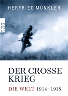 Herfried Münkler - Der Große Krieg