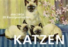 Anaconda Verlag - Katzen, Postkartenbuch