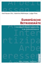 Axe Hauser-Ditz, Axel Hauser-Ditz, Valentin Mählmeyer, Valentina Mählmeyer, Pries, Ludg Pries... - Europäische Betriebsräte