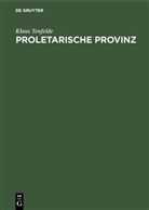 Klaus Tenfelde - Proletarische Provinz