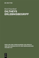 Karol Sauerland - Diltheys Erlebnisbegriff