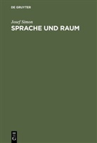 Josef Simon - Sprache und Raum