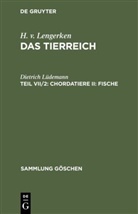 H. v. Lengerken, Dietrich Lüdemann - H. v. Lengerken: Das Tierreich - Teil VII/2: Chordatiere II: Fische