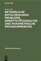 Tomas Gal - Betriebliche Entscheidungsprobleme, Sensitivitätsanalyse und parametrische Programmierung