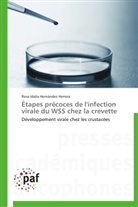 Rosa Idalia Hernández Herrera, Herrera-r - Etapes precoces de l infection