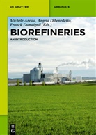 Gennaro Agrimi, Efthymia Alexopoulou, Michele Aresta, Elisavet D. Bartzoka, Antonio Buonerba, Fabrizio Cavani... - Biorefineries