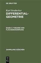 Karl Strubecker - Karl Strubecker: Differentialgeometrie - Band 3: Theorie der Flächenkrümmung
