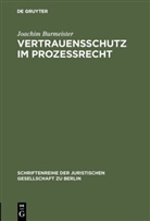 Joachim Burmeister - Vertrauensschutz im Prozeßrecht