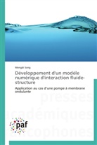 Mengdi Song, Song-m - Developpement d un modele