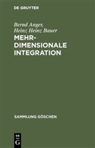 Bern Anger, Bernd Anger, Heinz Heinz Bauer - Mehrdimensionale Integration