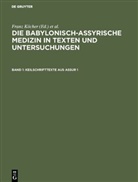 Franz Köcher, Robert Biggs, Franz Köcher, Marten Stol - Die babylonisch-assyrische Medizin in Texten und Untersuchungen - 1: Keilschrifttexte aus Assur 1