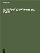 L Sánchez Agudo, L. Sánchez Agudo, Konra Morgenroth, Konrad Morgenroth, Gerhard Pucher - El sistema surfactante del pulmon