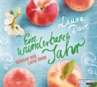 Laura Dave, Luise Helm - Ein wunderbares Jahr, 5 Audio-CDs (Hörbuch)