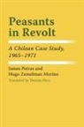 Hugo Zemelman Merino, James Petras, James F. Petras, James Merino Petras, Hugo Zemelman Merino - Peasants in Revolt