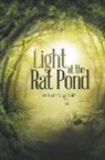 Richard Newberry - Light at the Rat Pond