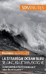 50 minutes, 50minutes, 50 minutes Business, Pierr Pichère, Pierre Pichère, Pierre Pichère - La stratégie Océan bleu selon C. Kim et Mauborgne