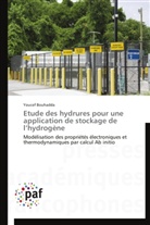 Youcef Bouhadda, Bouhadda-y - Etude des hydrures pour une