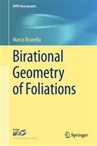 Marco Brunella - Birational Geometry of Foliations