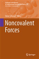 Stev Scheiner, Steve Scheiner - Noncovalent Forces