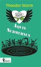 Theodor Storm - Aquis Submersus