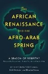 Charles Doxtader Villa-Vicencio, Erik Doxtader, Doxtader Erik, Thabo Mbeki, Ebrahim Moosa, Moosa Ebrahim... - African Renaissance and the Afro-Arab Spring