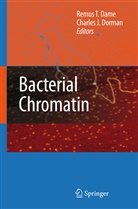 Remus T. Dame, Charles J. Dorman, J Dorman, J Dorman, Remu T Dame, Remus T Dame - Bacterial Chromatin
