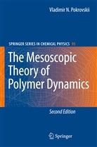 Vladimir N Pokrovskii, Vladimir N. Pokrovskii - The Mesoscopic Theory of Polymer Dynamics