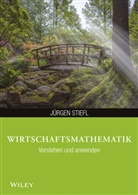 Jürgen Stiefl - Wirtschaftsmathematik verstehen und anwenden