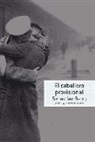 Sebastian Barry - El caballero provisional