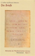 Apollinaris Sidonius - Appolinaris Sidonius - Briefe