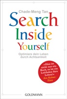 Chade-Meng Tan - Search Inside Yourself