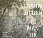diverse, Wilhelm Müller, Christian Brückner - Traumbilder Romantik. Gedichte, 1 Audio-CD (Audio book)