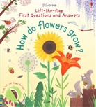 Katie Daynes, Christine Pym, CHRISTINE PYM, Christine Pym - First Lift-The-Flap Questions and Answers How Do Flowers Grow ?