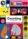 Aino-Maija Metsola - Counting
