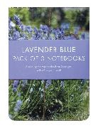 Books Cico, Cico Books, Cico Books, Paperstyle - Lavender Blue Mini Fliptop Notebooks