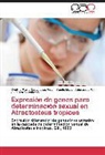 Cynthia Marí Castellanos Vidal, Cynthia María Castellanos Vidal, Julia María Lesher G., Yam Valenzuela P, Yamile Mavel Valenzuela P. - Expresión de genes para determinación sexual en Atractosteus tropicus