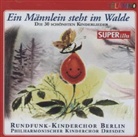 Various - Ein Männlein steht im Walde, 1 Audio-CD (Audiolibro)