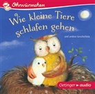 Anne-Kristin Brügge, Susanne Lütje, Paul Maar, Hans-Christian Schmidt, Anne-Kristin zur Brügge, Cathlen Gawlich... - Wie kleine Tiere schlafen gehen und andere Geschichten, 1 Audio-CD (Audio book)