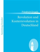 Friedrich Engels - Revolution und Konterrevolution in Deutschland